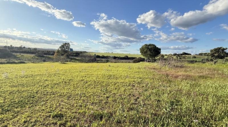 Huelva - Gibraleón - 5324m2