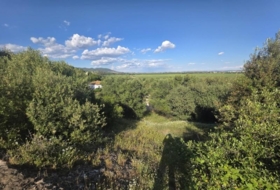 Almodóvar del Río 1276&nbsp;m² 