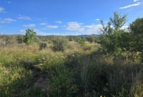 Llíria 13800&nbsp;m² 