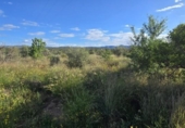Terreno no urbanizable en venta en la España, Llíria, ref: TR411053 foto