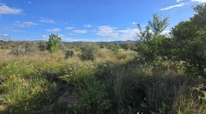 Valencia - Llíria - 13800m2