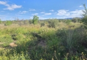 Terreno no urbanizable en venta en la España, Llíria, ref: TR411053 foto