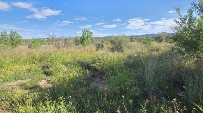 Valencia - Llíria - 13800m2