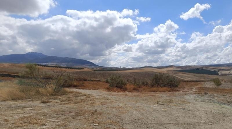 Granada - Вилья-де-Отура - 16975m2