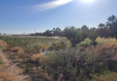 Terreny no urbanitzable en venda a la España, Sanlúcar de Barrameda, ref.: TR411060 foto