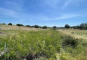 Non-developable land for sale on España, Arroyo de la Luz, ref: TR411067 photo