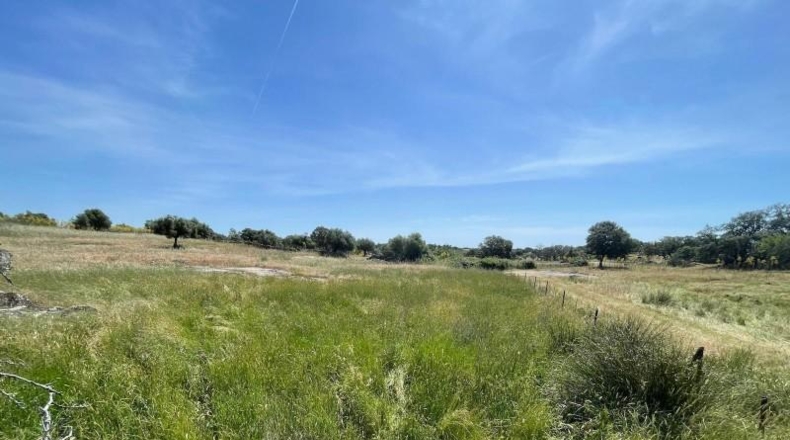 Cáceres - Arroyo de la Luz - 20000m2