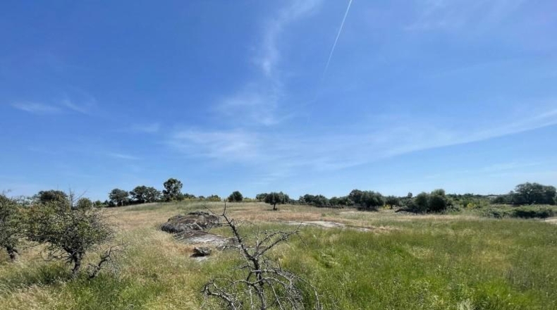 Cáceres - Arroyo de la Luz - 20000m2