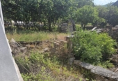 Casa de camp amb terreny en venda a la España, Toreno, ref.: TR292596 foto