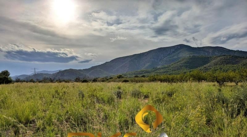 Castellón - Cabanes - 11613m2