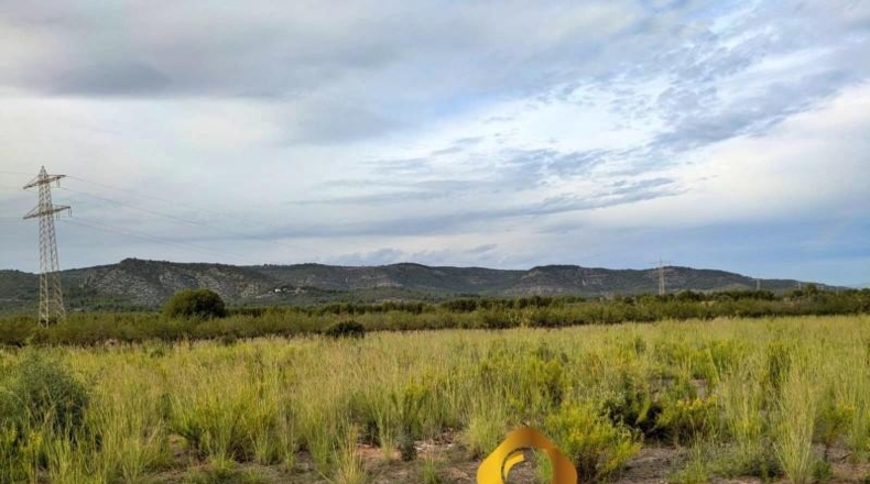 Castellón - Cabanes - 11613m2
