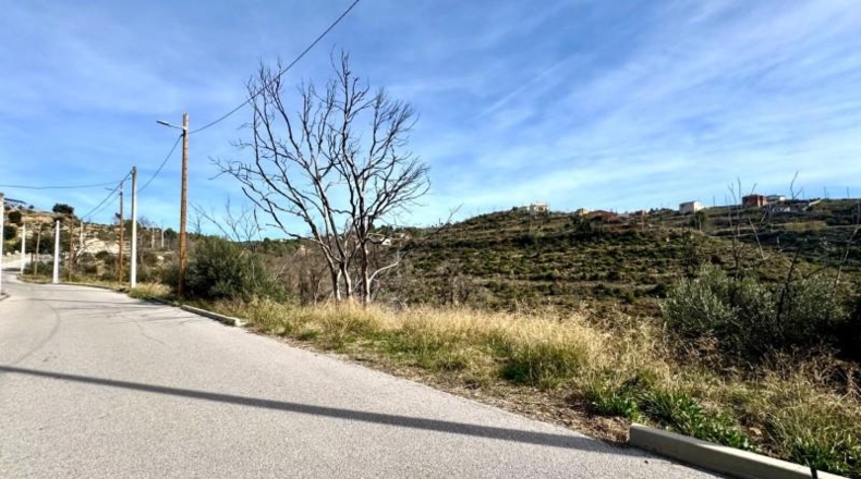 Valencia - Rocafort - 805m2