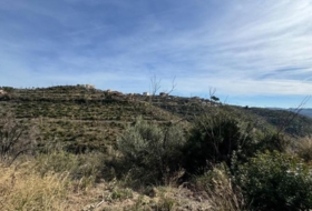 Rocafort 805&nbsp;m² 