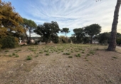 Parcela urbanizable en venta en la España, Massanes, ref: TR411071 foto