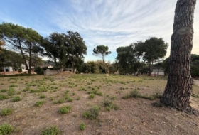 Massanes 667&nbsp;m²