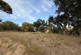 Massanes 667&nbsp;m²