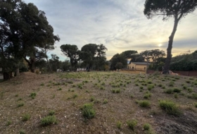 Massanes 667&nbsp;m²