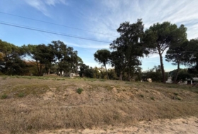 Massanes 667&nbsp;m²