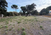 Parcela urbanizable en venta en la España, Massanes, ref: TR411071 foto