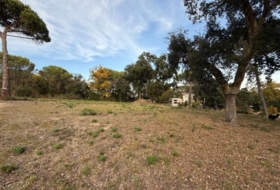 Massanes 667&nbsp;m²