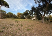 Parcela urbanizable en venta en la España, Massanes, ref: TR411071 foto