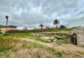 Suelo urbano en venta en la España, Ingenio, ref: TR411080 foto