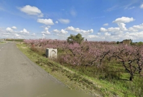 Artesa de Lleida 13950&nbsp;m²