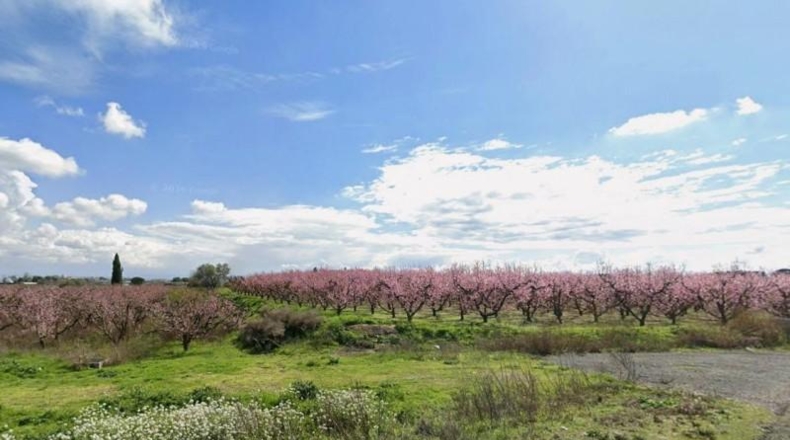 Lérida - Artesa de Lleida - 13950m2