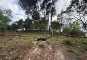 Sòl urbà en venda a la España, Lloret de Mar, ref.: TR411077 foto