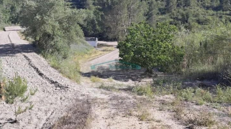 Alicante - Cocentaina - 23055m2