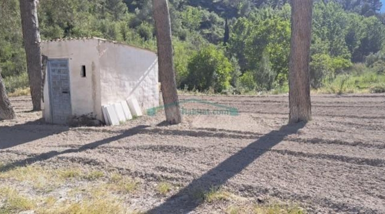 Alicante - Cocentaina - 23055m2