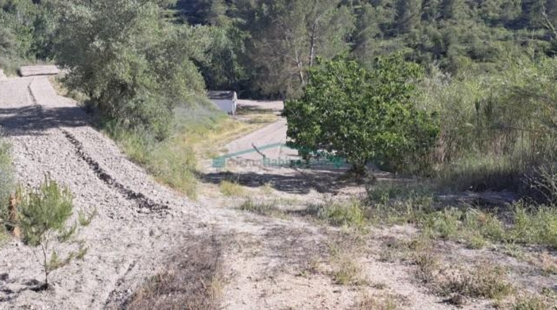 Alicante - Cocentaina - 23055m2