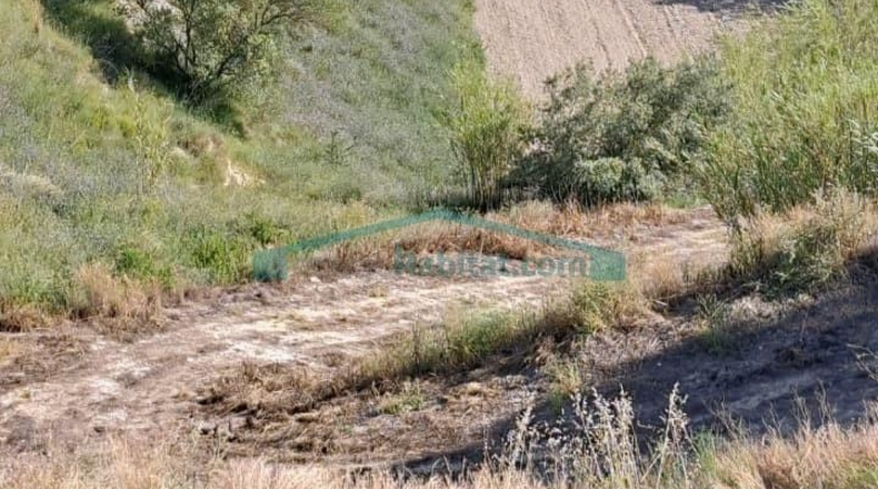 Alicante - Cocentaina - 23055m2