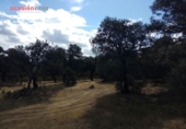 Detached villa with land for sale on España, Villanueva del Duque, ref: TR301315 photo