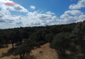 Detached villa with land for sale on España, Villanueva del Duque, ref: TR301315 photo