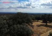 Detached villa with land for sale on España, Villanueva del Duque, ref: TR301315 photo