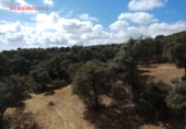 Detached villa with land for sale on España, Villanueva del Duque, ref: TR301315 photo