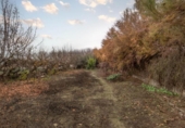Non-developable land for sale on España, Chauchina, ref: TR411108 photo