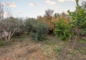 Non-developable land for sale on España, Chauchina, ref: TR411108 photo