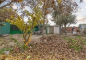 Non-developable land for sale on España, Chauchina, ref: TR411108 photo