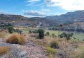 Suelo urbano en venta en la España, Antequera, ref: TR411102 foto