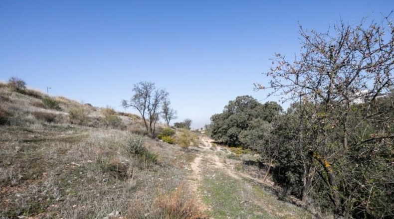 Granada - La Zubia - 523m2