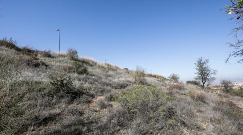 Granada - La Zubia - 523m2