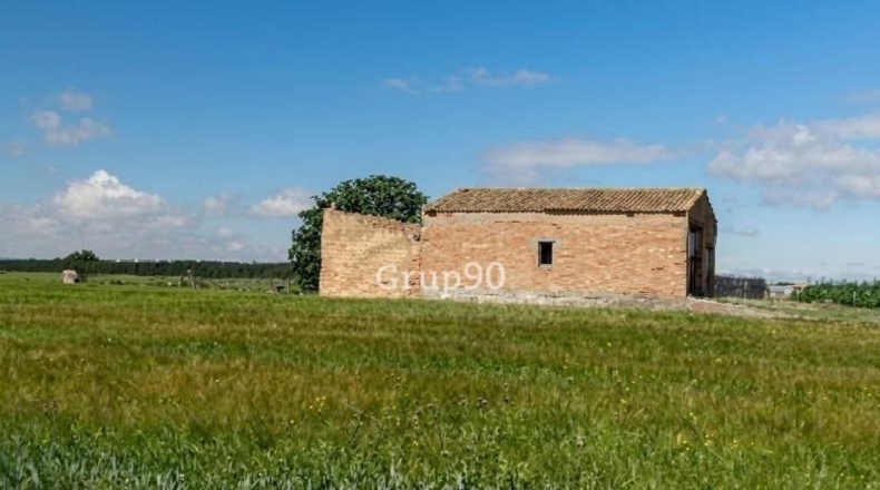 Lerida - Alcoletge - 22968m2