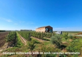 Non-developable land for sale on España, Alcoletge, ref: TR178283 photo