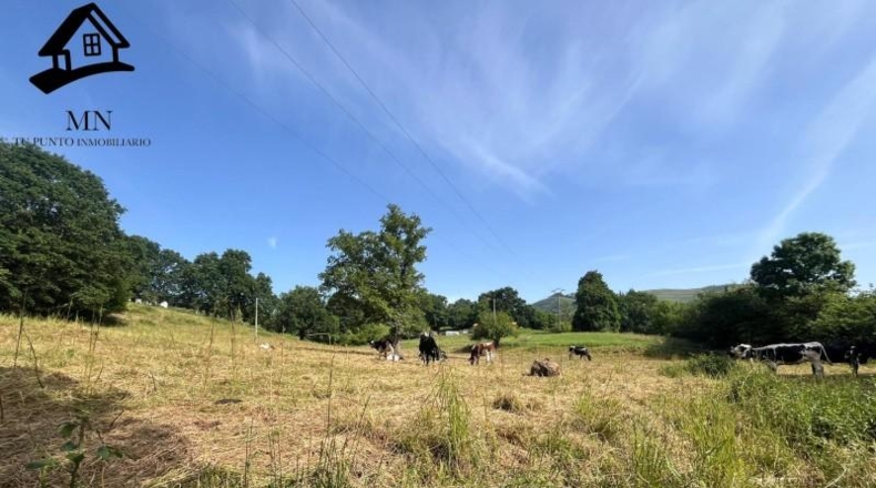 Cantabria - San Martín de Villafufre - 7624m2