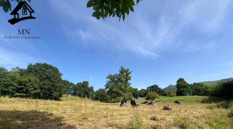 Cantabria - San Martín de Villafufre - 7624m2