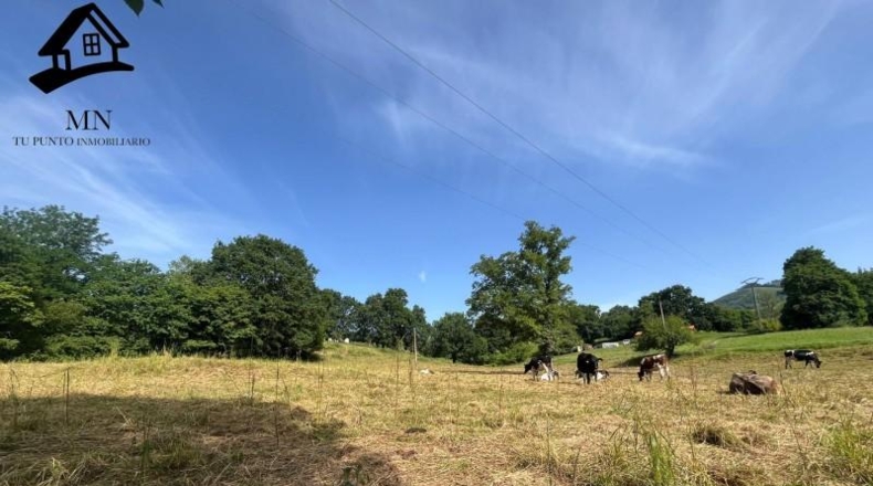 Cantabria - San Martín de Villafufre - 7624m2