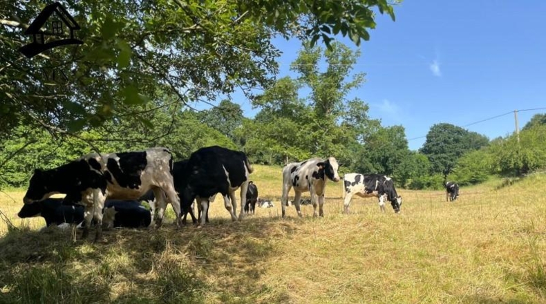Cantabria - San Martín de Villafufre - 7624m2