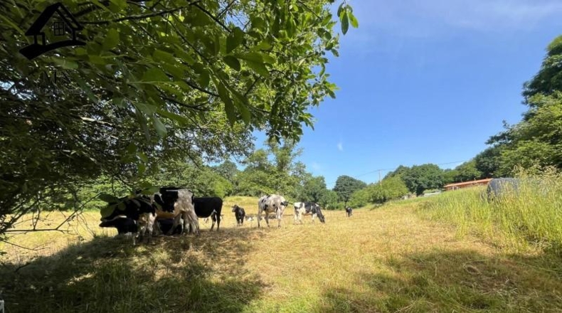 Cantabria - San Martín de Villafufre - 7624m2